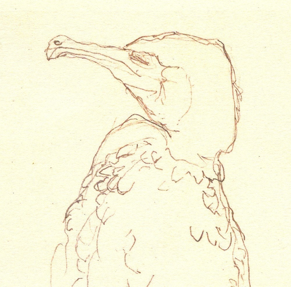 quiet as a little bird - 8X10 art print