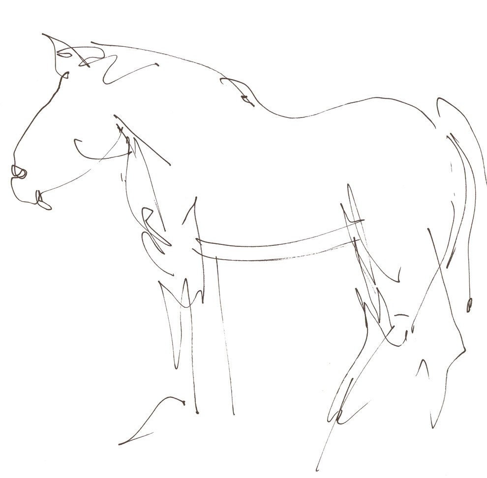 gestural horse 8X10 abstract art print of gesture line drawing