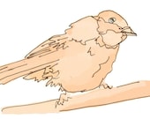 bird study19 in orange or lilac - 4X6 print