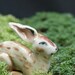 rabbit figurine - resting wild rabbit- porcelain animal figurine