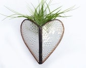 Stained glass Sconce -Air Plant Holder - Clear bubble