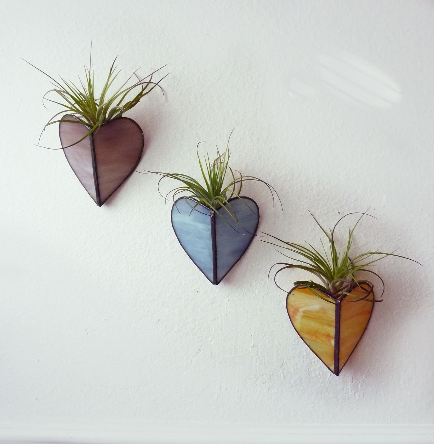 Stained glass Sconce -Air Plant Holder - Trio