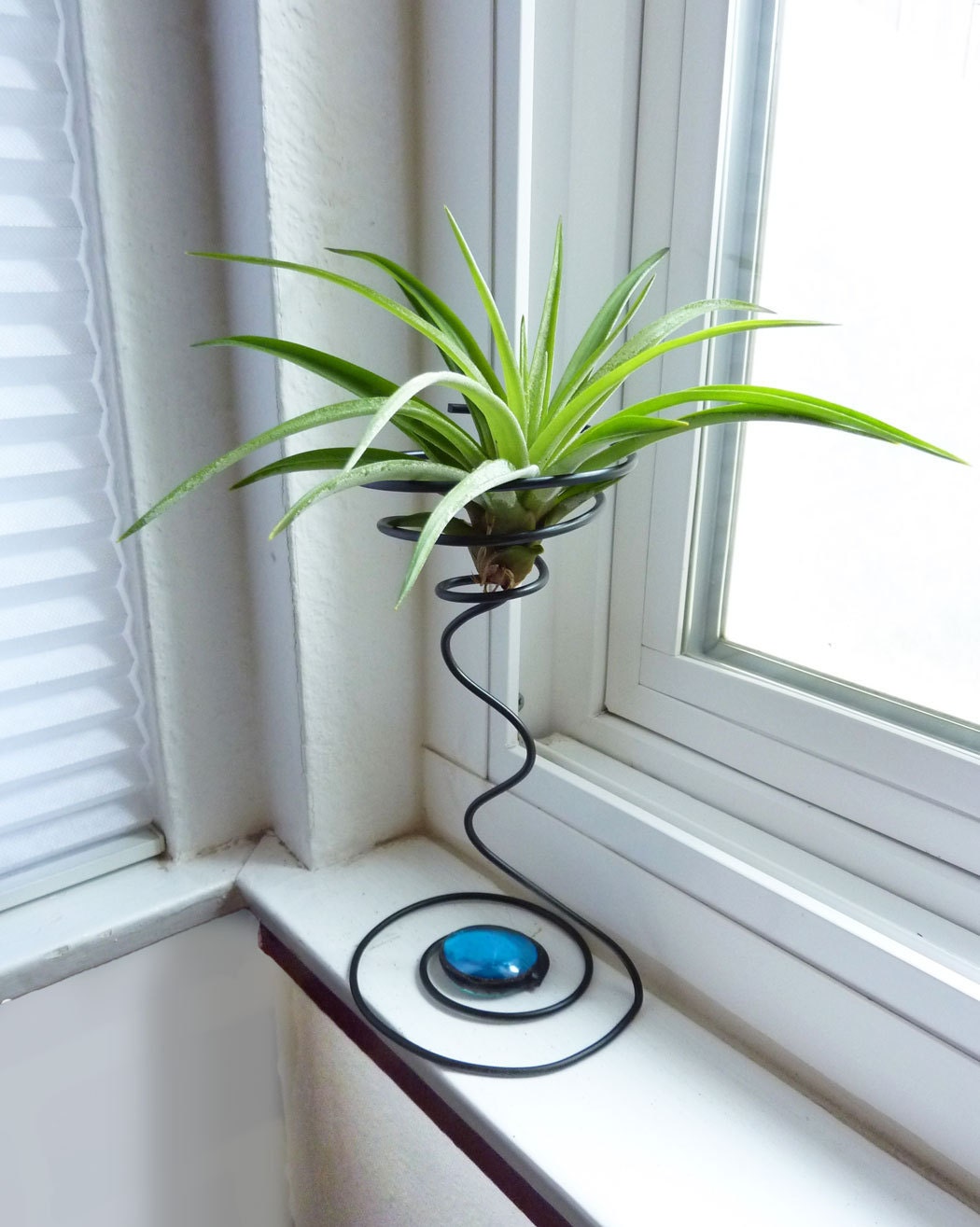 Wire Air Plant Holder- Tall Quirky