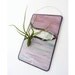 Stained Glass Panel Air Plant Holder - Dusty Pink