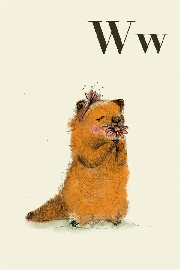 W fo woodchuck Alphabet animal,  Print 6x4 inches