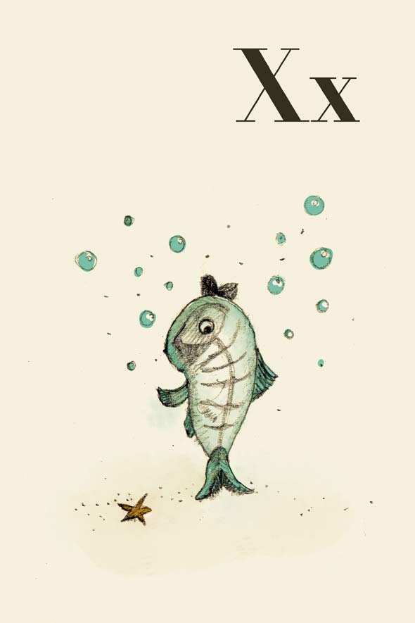 X for X Ray Fish  Alphabet animal,  Print 4x6 inches