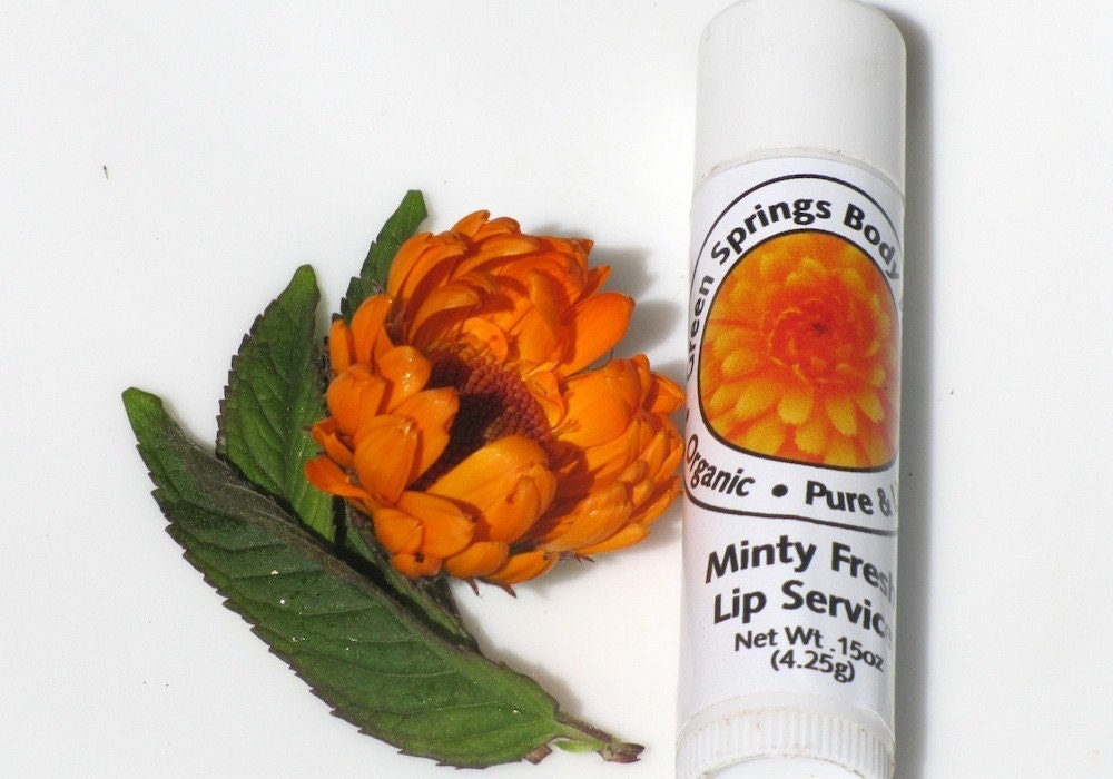 Minty Fresh Lip Service Organic Lip Balm