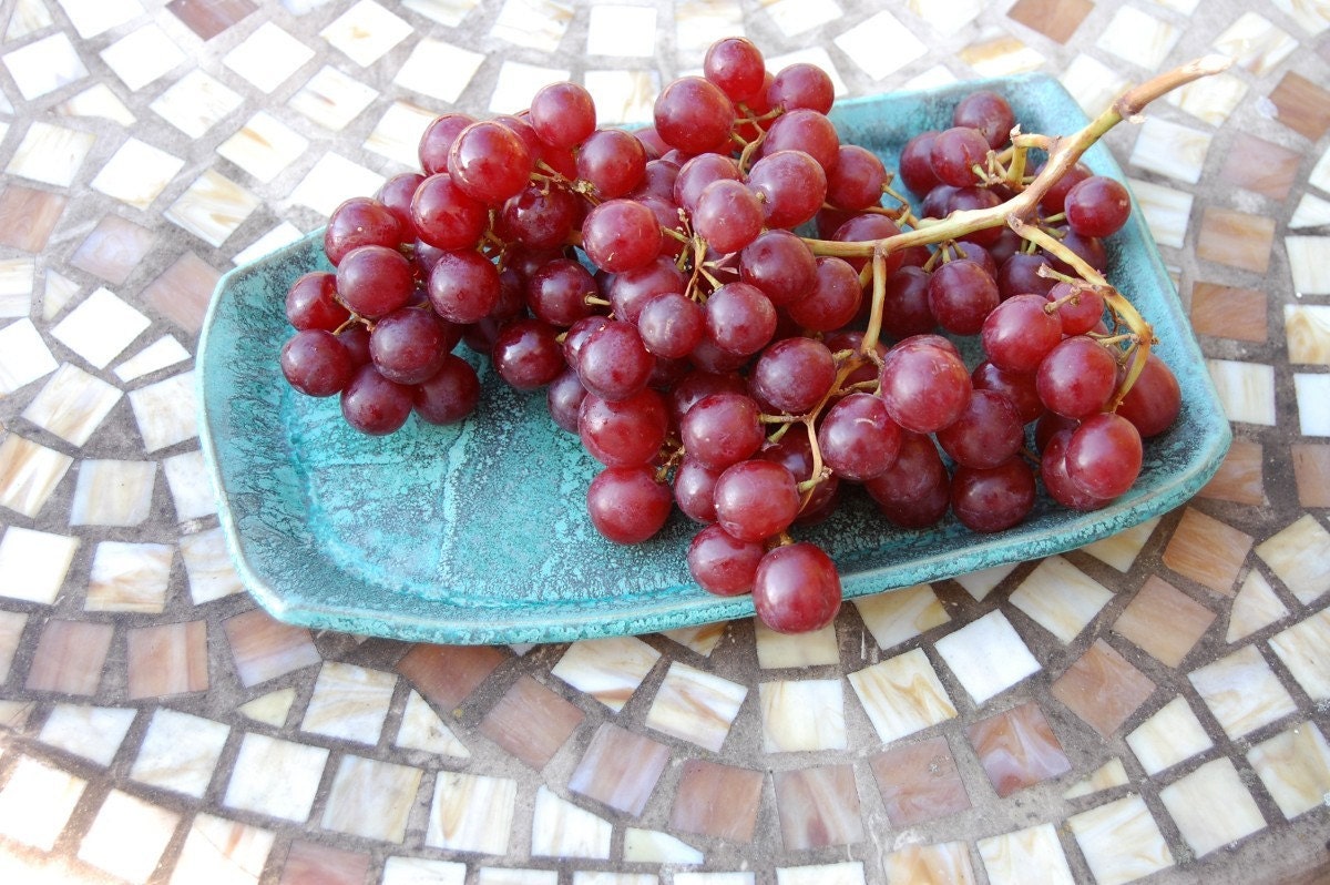Appetizer Tray in Turquoise