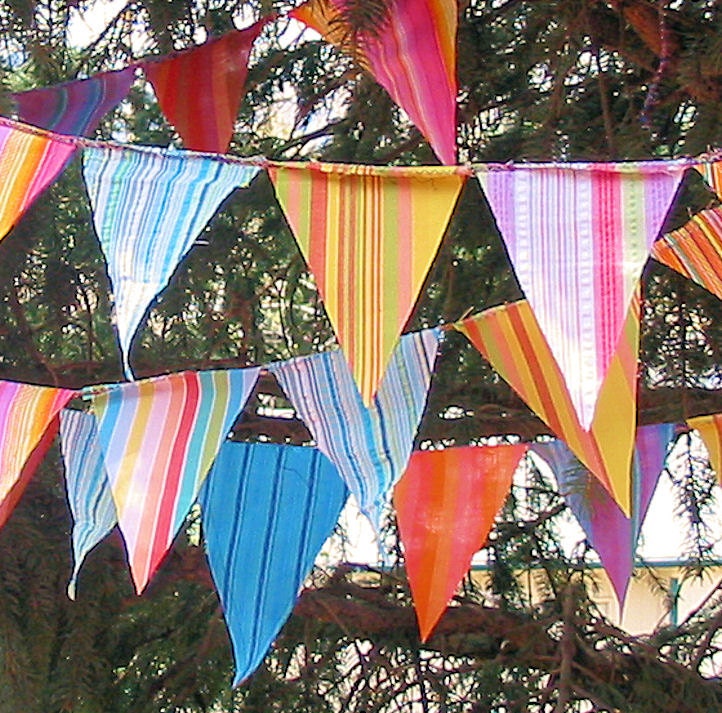 Nothin' But Stripes Celebration Flags Bunting Garland
