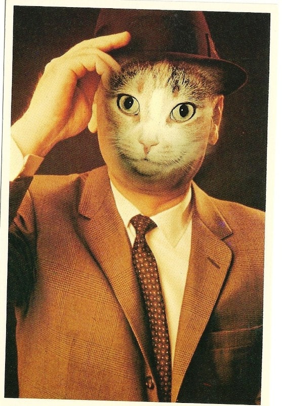 Alfred Gescheidt Cat Postcard c.1982, American Cat Card, Kitten, Meow, Business Man Cat, Male Kitty Postcard retro 1980's Pussy Cat