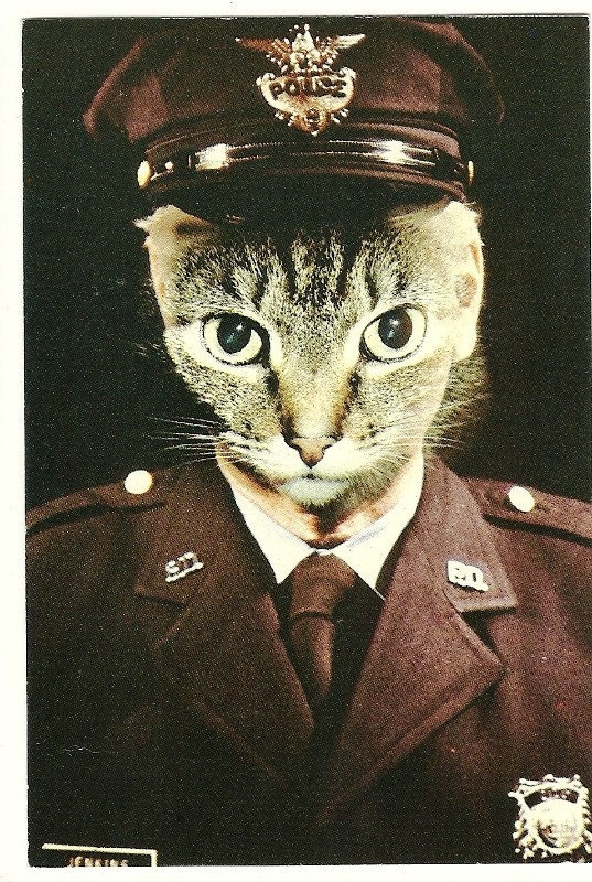 1982 Alfred Gescheidt Cat Postcard, American Cat Card, Cop CAT, Kitten, Meow, Lawman Cat, Policeman Kitty Cat, Male Kitty Postcard