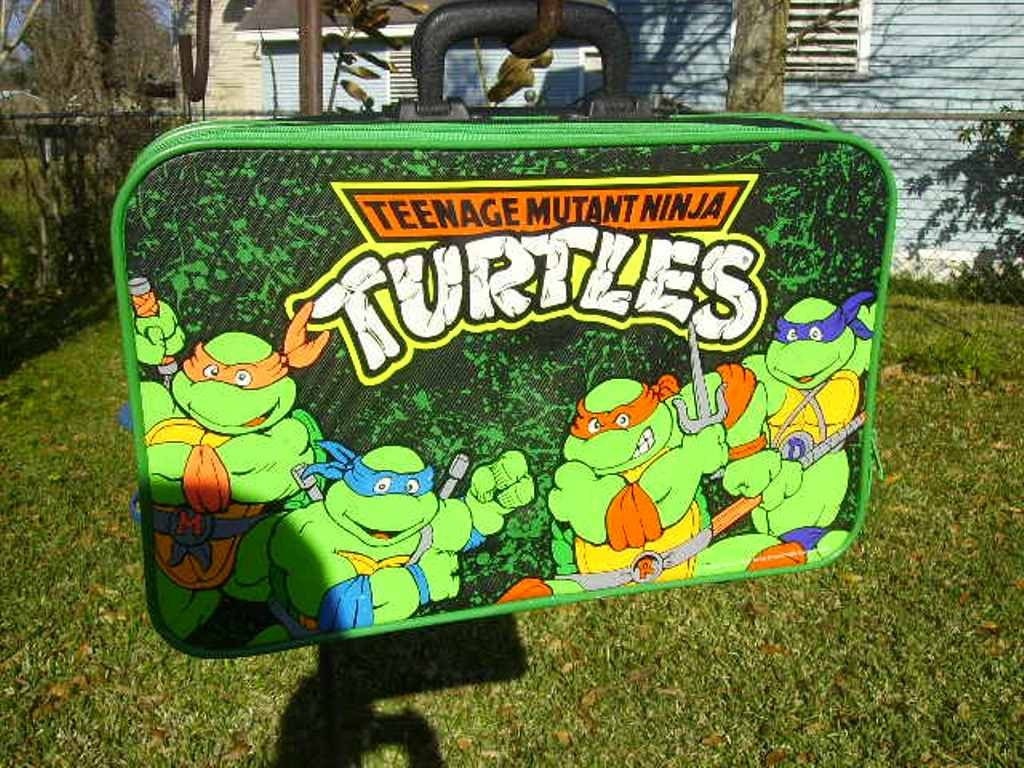 Turtle Suitcase