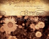 Scripture Art, Inspirational Art, Bible Verse Art, Christian Art : THANKFUL FOR YOU (Philippians 1) 8x10 Fine Art Print