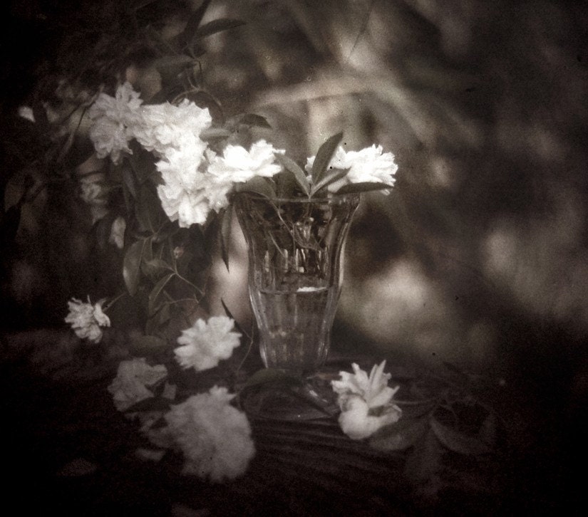 April Flowers Original Fine Art Black and White 8x8 print