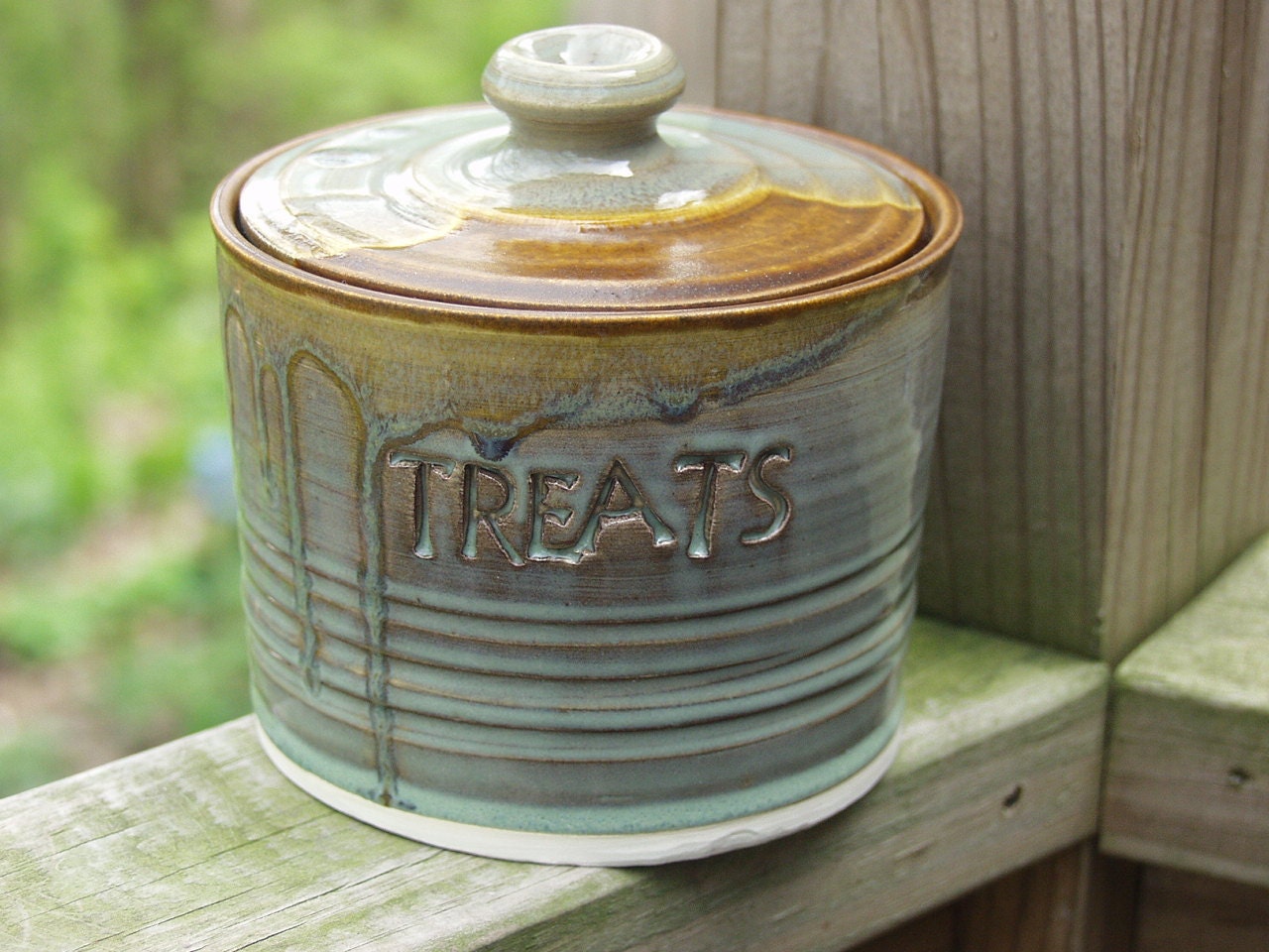 Treat Jar Pet Treat Jar Candy Lidded Jar Rustic Moss Ready to Ship