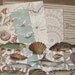 Super Deluxe Seashore Craft Box - Limited Edition