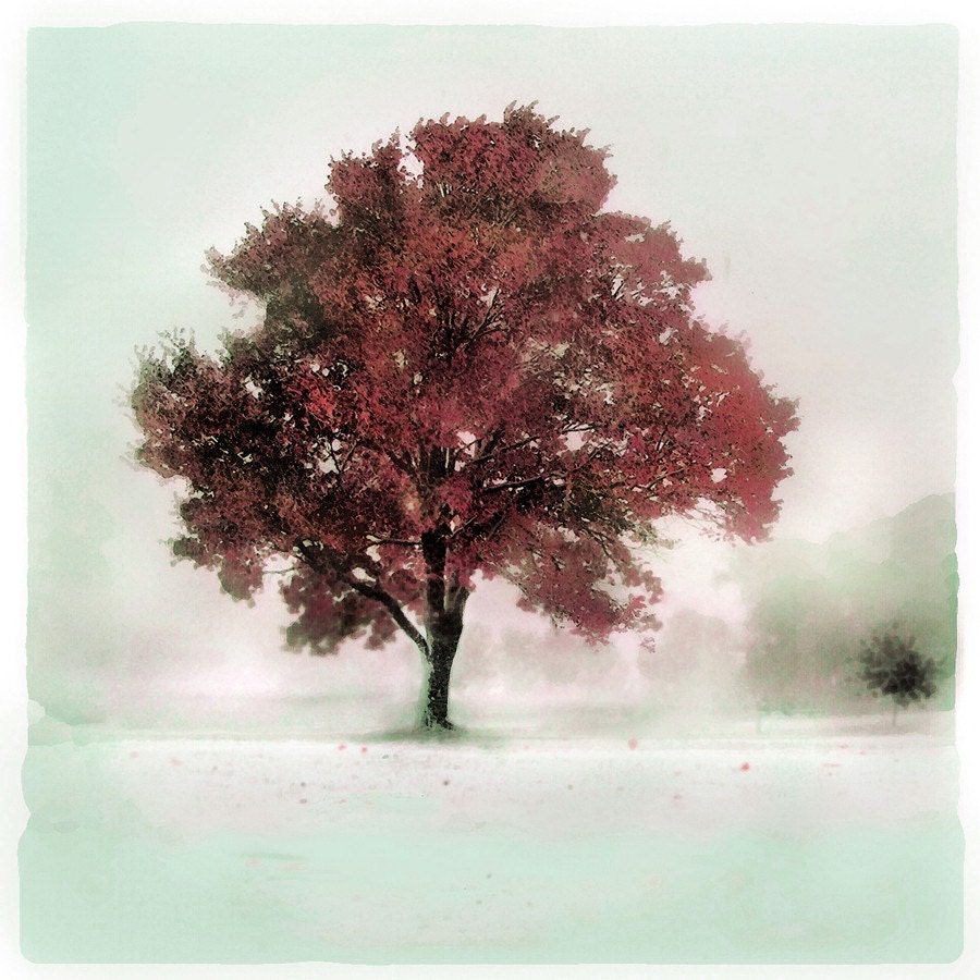 Winter greets autumn ,8x8 inches, Original, Signed, Fine Art Photograph, wall decor, art, tree, nature decor, Fall decor, snow