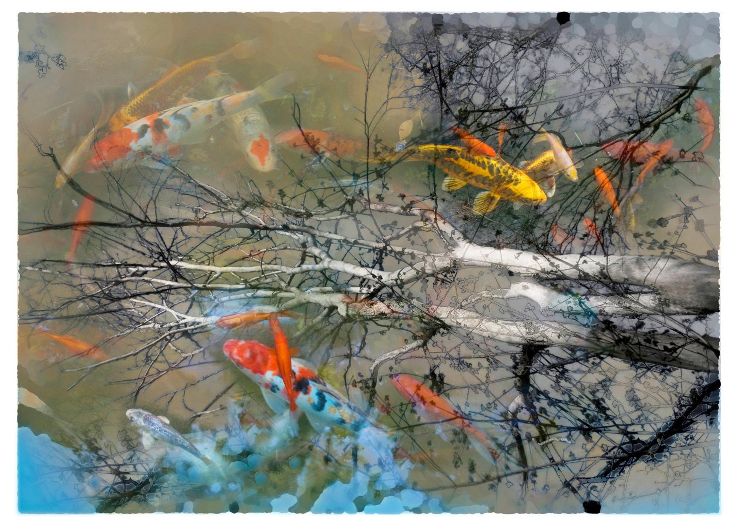 White tree,11x17,Original signed, Fine art photograph, Wall decor, Office decor, taupe black art, pond, Koi, Limited edition, grey