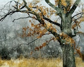 Grey November, 8x10, Fine Art photograph, Oak tree, landscape, Nature decor, winter, art, Home decor, snow, tree, grey, brown - dahliahousestudios