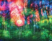 Red sky in the morning,11x17, Original Signed Fine Art photograph, mixed media, Wall decor, Nature decor, sunrise, green decor