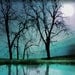 Night sky,11x17, Original Signed Fine art photograph, Limited edition, Nature wall decor, art, blue home decor, trees, reflections