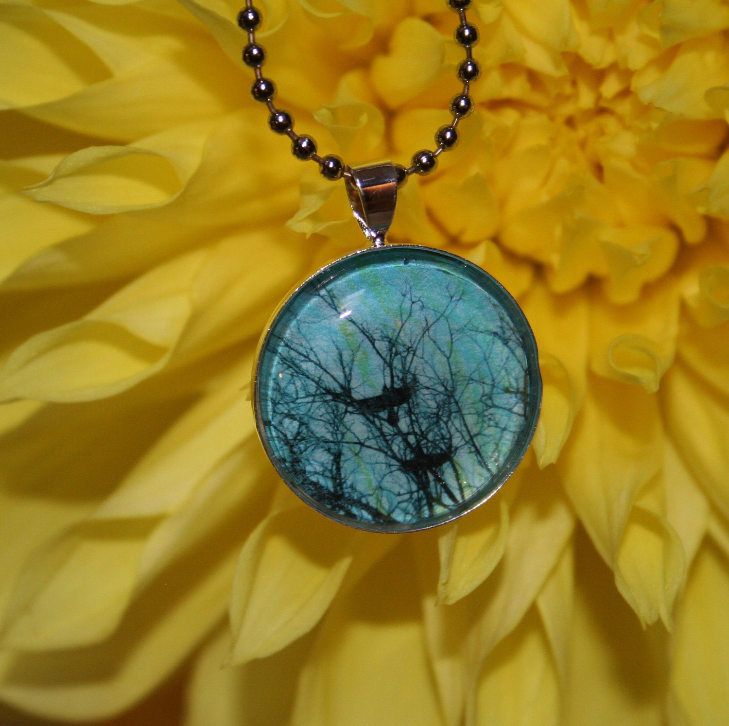 Birds in flight, Original photo pendant 1 inch circle,ball chain and a gift bag, necklace, birds, tree branches, blue, gift