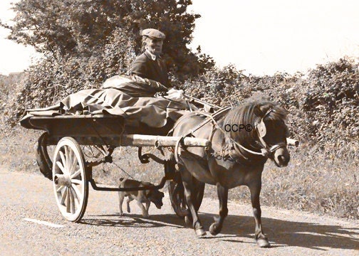 Ireland Photography Pony Dog Cart  Vintage Sepia Style Photo 5 x 7 Fine Art Print  Wall Decor