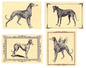 Victorian Lithograph Greyhound Dog Art Notecards Set of 4 w/env