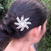 Star frond hairclip