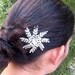 Star frond hairclip