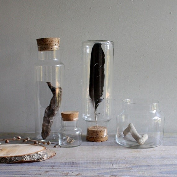 Four Vintage Glass Specimen Jars