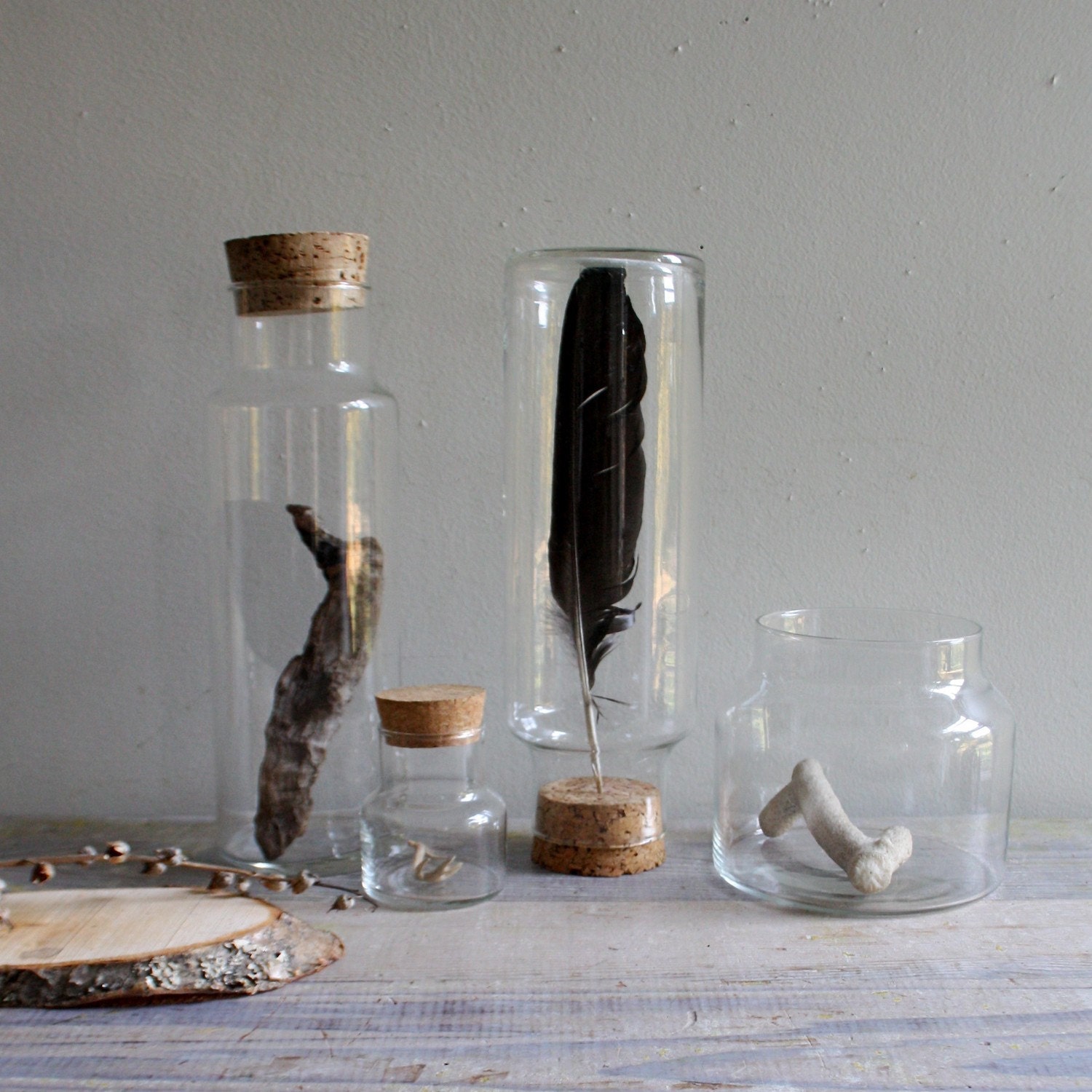 Four Vintage Glass Specimen Jars