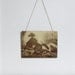 Vintage Horse Print Under Glass