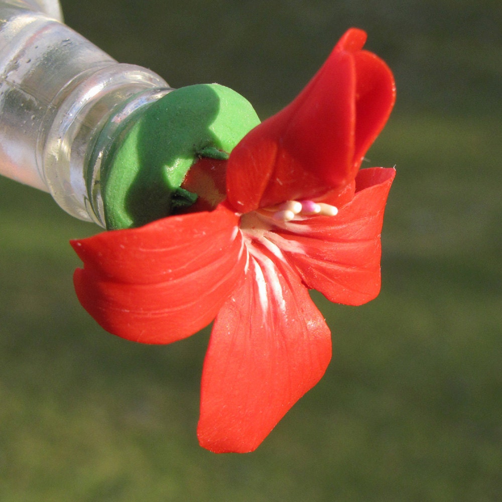 Hummingbird Feeder--Ruellia on Crown Motif Bottle
