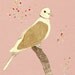 Little mother Streptopelia decaocto print of original illustration