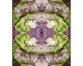 Grape Abstract ACEO Print