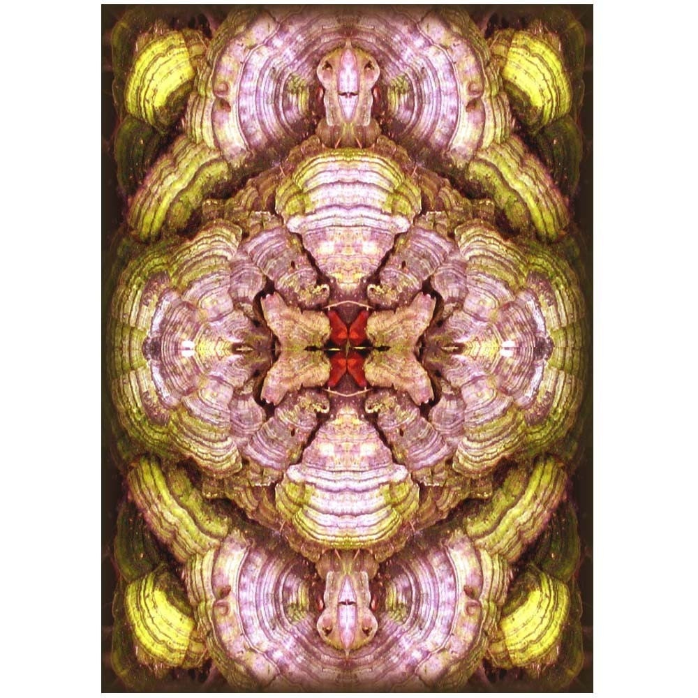 Banana Abstract ACEO Print