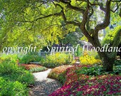 Enchanted Summer Garden II 5 X 7 Photographic Print 