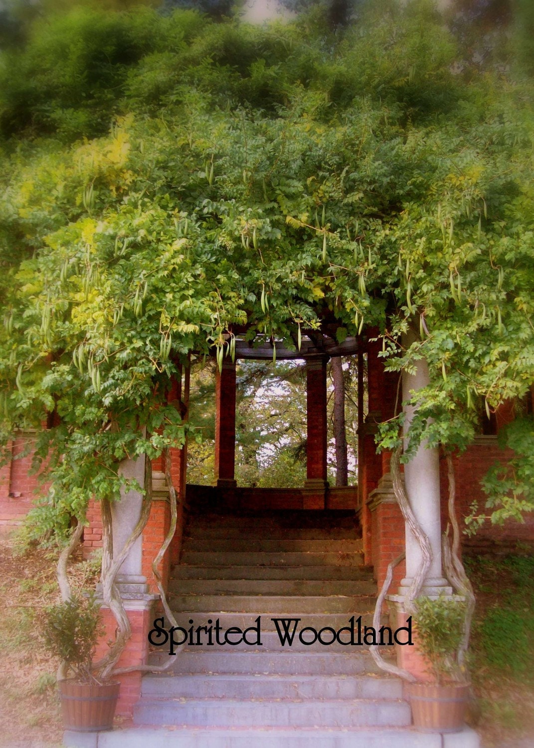 Soul of the Garden - Inspirational - 5 X 7 Photographic Art Print