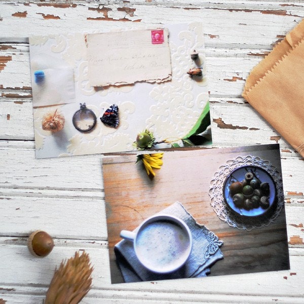 Gathering Autumn postcard set