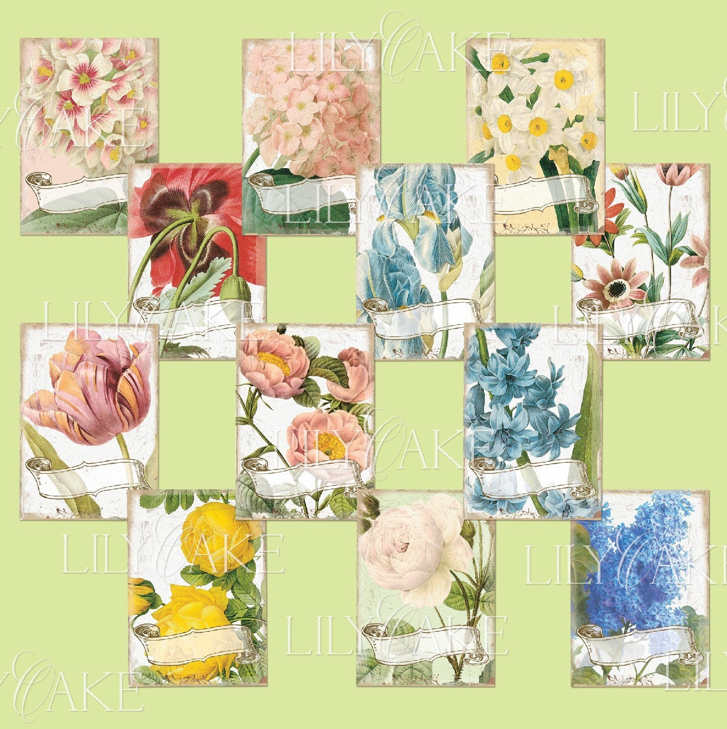 Redoute Floral Labels or Bookplates