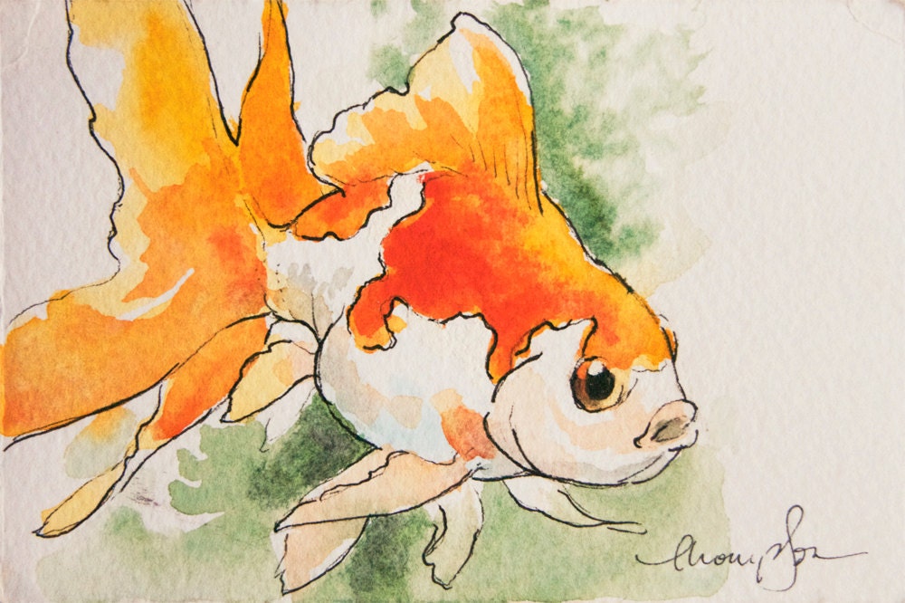 Fat Fantail Goldfish tiny original watercolor by traciethompson