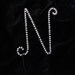 Pearl N Cake Topper (All Letters Available)
