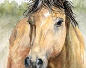 This pretty buckskin mare reminds me of Dale Evans horse - Buttermilk - Sugar is a 5 x 7 inch print of my original watercolor painting