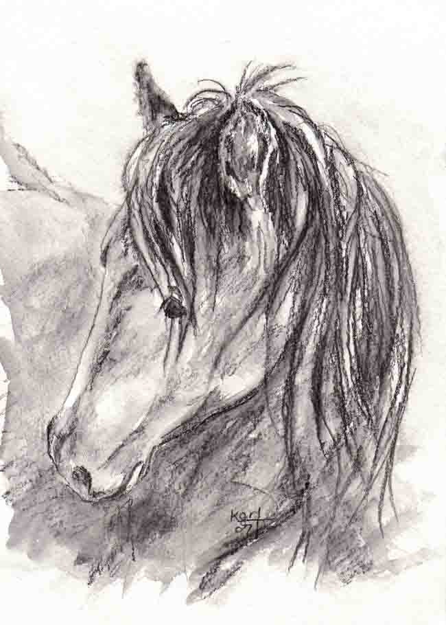 Horse Drawing - Raven - Print of my original drawing - 5 x 7
