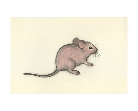 Mouse art -  Little Mousey - 6 X 4 print