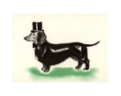 Dachshund dog/ sausage dog art drawing print  Top Hat and Tail 4" X 6" dog print