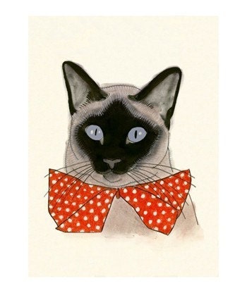 Cat drawings  SALE GIFT SET - 5 X  Pussy Cats  - 4 X 6 prints