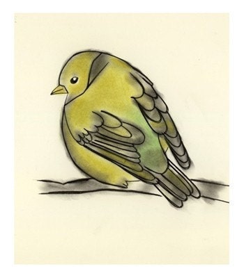Bird art prints sale set- 5 X  different bird prints  - 4 X 6 prints