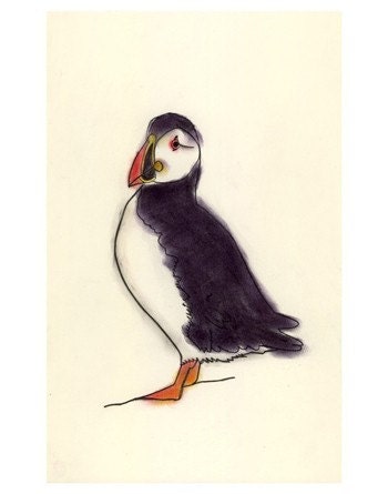 Bird Art Puffin - Mr. P - 4 X 6 puffin print